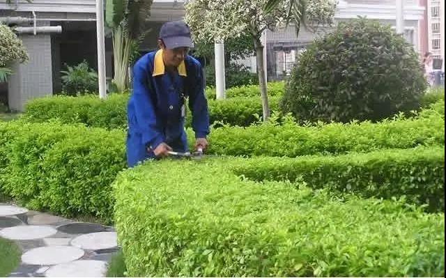 園林綠化工程施工常見誤區，您中招了嗎?