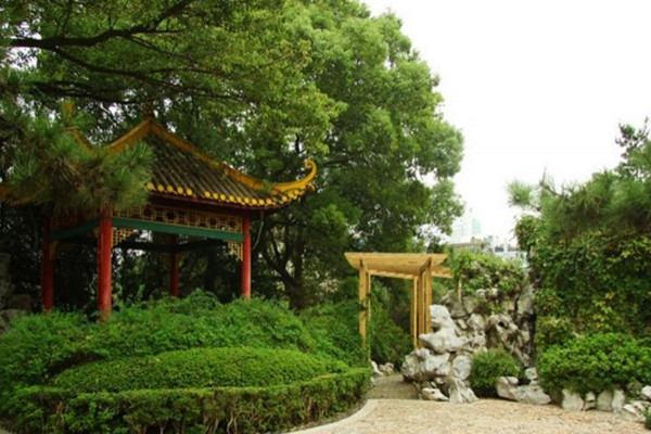 如何讓土地“變肥”，讓樹苗“夠吃”？