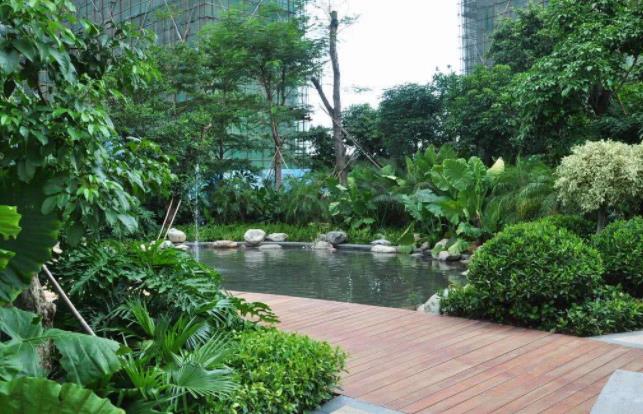 襄陽園林公司分享栽樹五大誤區，您中招了嗎？ 