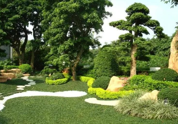 園林景觀設計之植物墻設計在哪些地方適合？