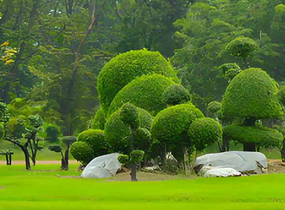 七月的綠化養護要注意下這些方面